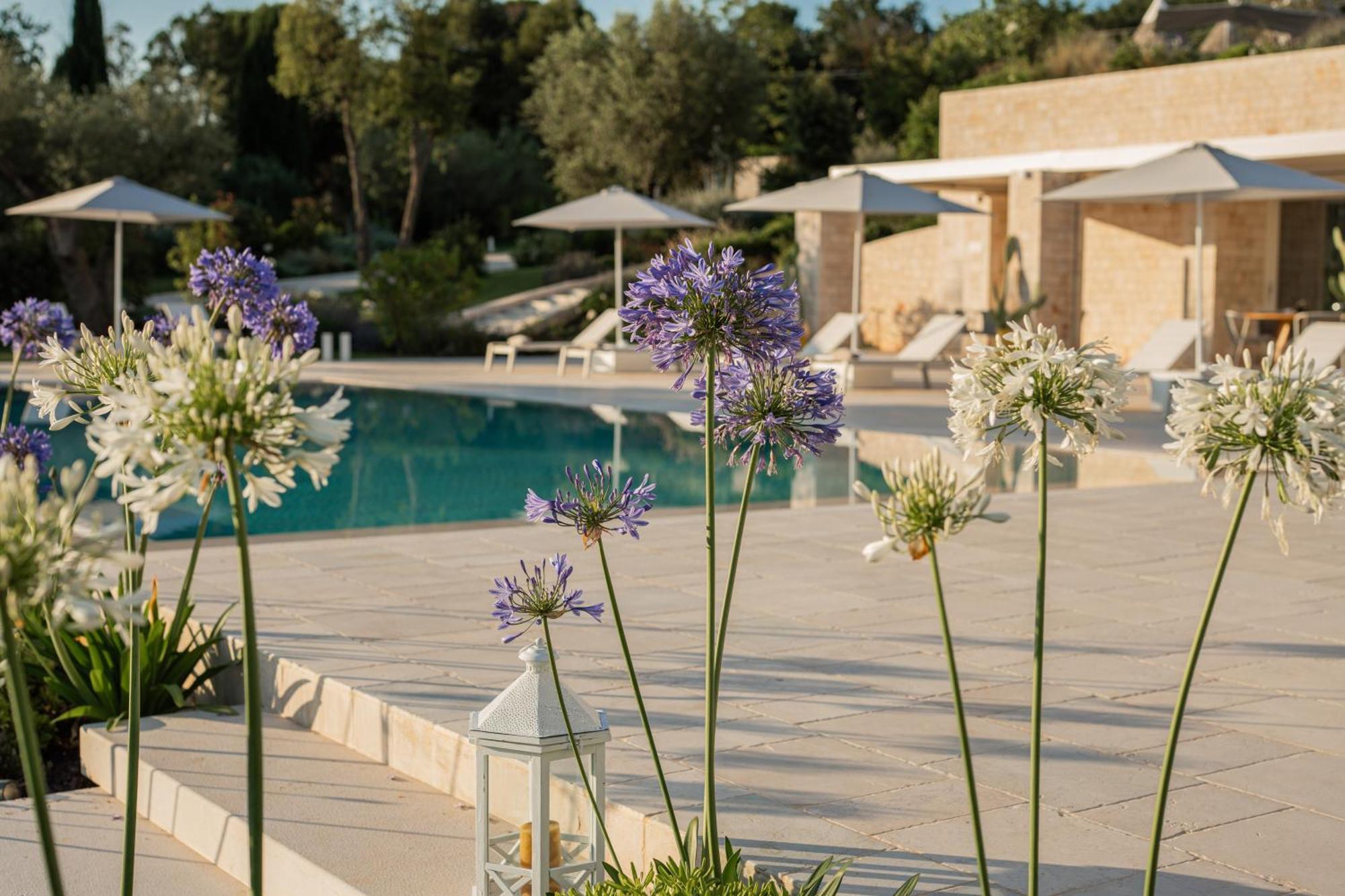 לינה וארוחת בוקר צ'יסטרנינו Essenza Relais Contemporaneo מראה חיצוני תמונה